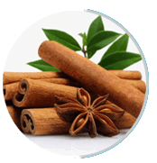 Neuro Serge Ingredients