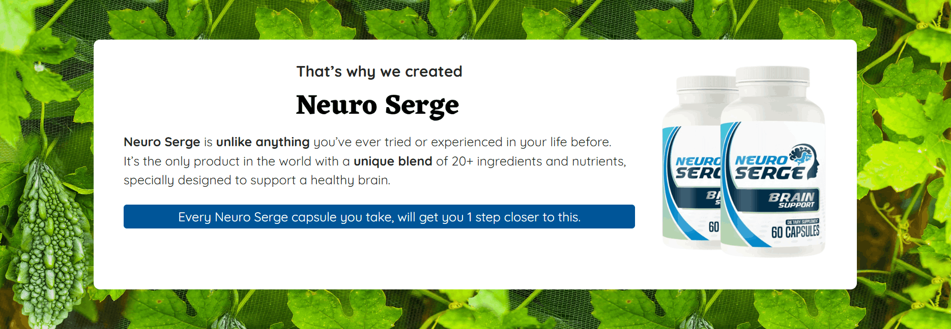 Neuro Serge scientific