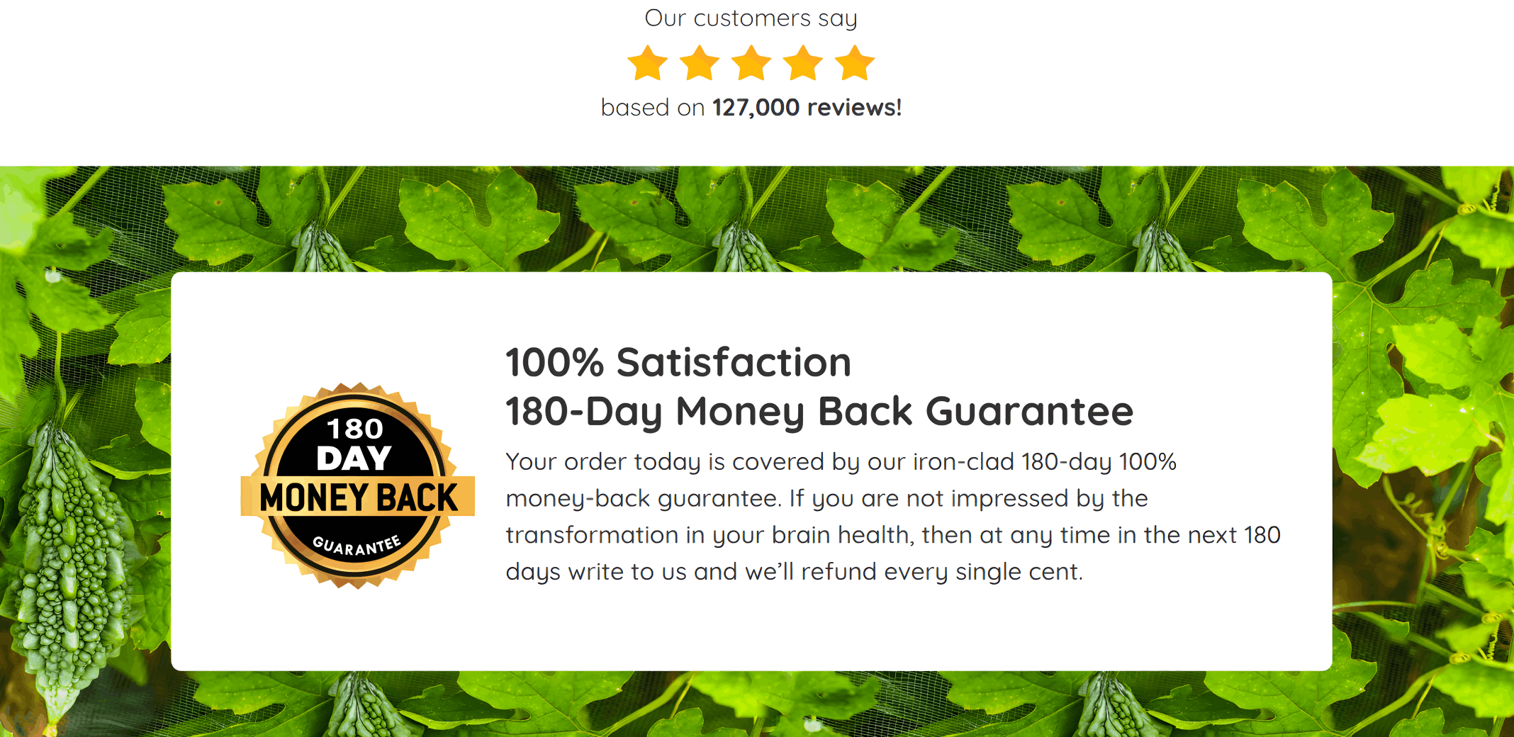 Neuro Serge Offer Price